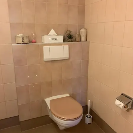 Bienvenu Chez Nous Apartman Pully